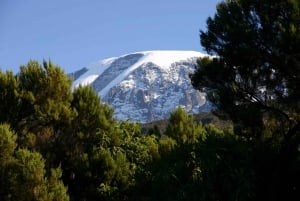 Moshi: Guidad Kilimanjaro-dagstur