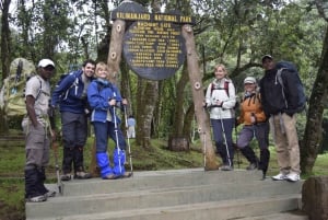Moshi: Kilimanjaro-dagtour met gids