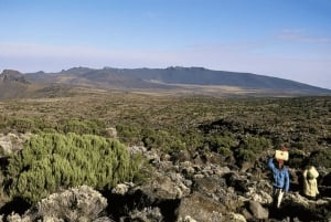 Moshi: 2-Tage-Wanderung auf der Marangu-Strecke am Kilimandscharo