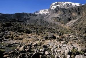 Moshi: 2-Tage-Wanderung auf der Marangu-Strecke am Kilimandscharo