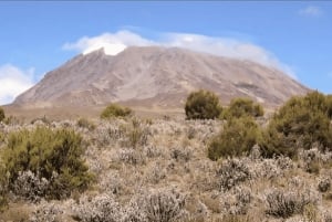 Moshi: Kilimanjaro 2-Day Marangu Route Trek