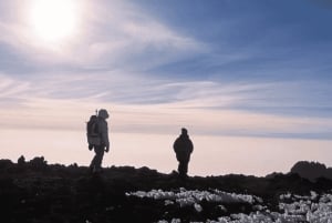 Moshi: Kilimanjaro 2-Day Marangu Route Trek