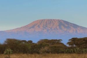 Moshi: Kilimanjaro 2-Day Marangu Route Trek