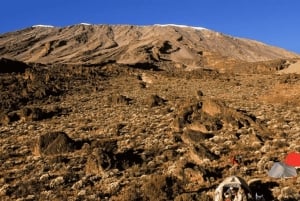 Moshi: Kilimanjaro 2-Day Marangu Route Trek