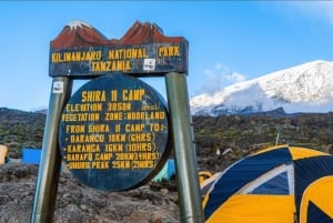 Moshi: Kilimanjaro 2-Day Marangu Route Trek