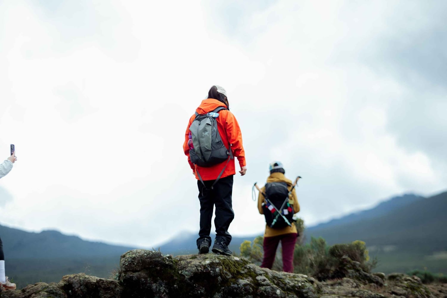 Ab Moshi: Tageswanderung auf der Marangu- oder Shira-Strecke am Kilimandscharo