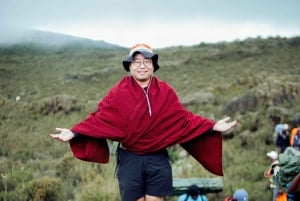 Ab Moshi: Tageswanderung auf der Marangu- oder Shira-Strecke am Kilimandscharo