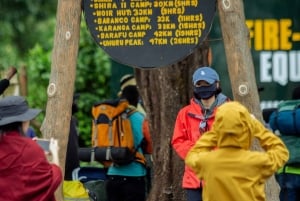 Ab Moshi: Tageswanderung auf der Marangu- oder Shira-Strecke am Kilimandscharo