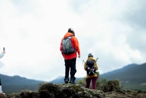 Ab Moshi: Tageswanderung auf der Marangu- oder Shira-Strecke am Kilimandscharo
