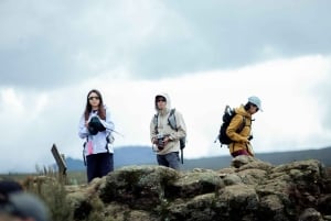 Ab Moshi: Tageswanderung auf der Marangu- oder Shira-Strecke am Kilimandscharo