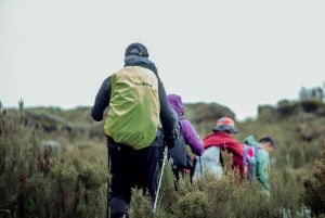 Ab Moshi: Tageswanderung auf der Marangu- oder Shira-Strecke am Kilimandscharo