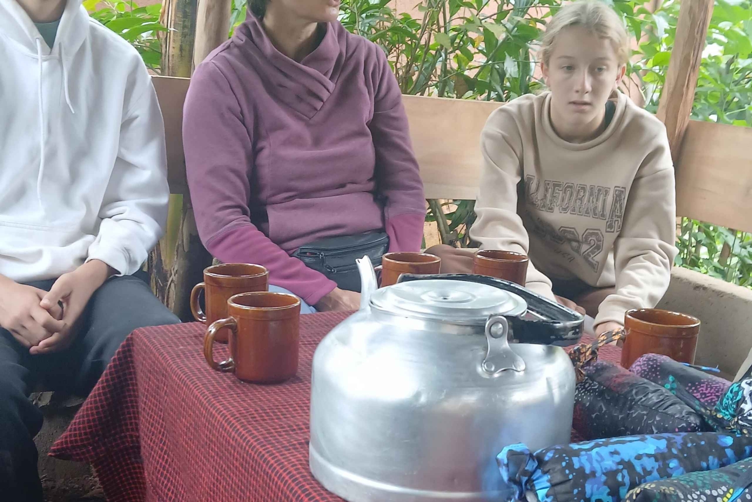 Moshi, Kilimanjaro: Materuni Waterfall, Coffee Tour & Lunch