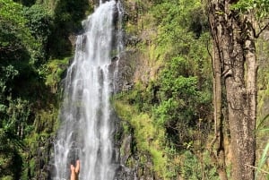 Moshi, Kilimangiaro: cascata di Materuni, tour del caffè e pranzo