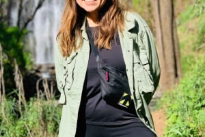 Moshi, Kilimangiaro: cascata di Materuni, tour del caffè e pranzo