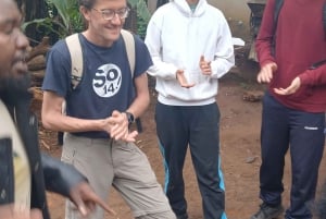 Moshi, Kilimangiaro: cascata di Materuni, tour del caffè e pranzo