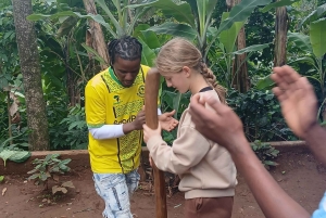 Moshi, Kilimanjaro: Materuni Waterfall, Coffee Tour & Lunch