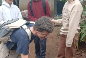 Moshi, Kilimanjaro: Materuni Waterfall, Coffee Tour & Lunch