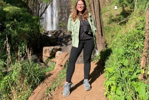 Moshi, Kilimanjaro: Materuni Waterfall, Coffee Tour & Lunch