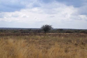 Moshi: Lake Chala Tour: Hiking &/or Kayaking