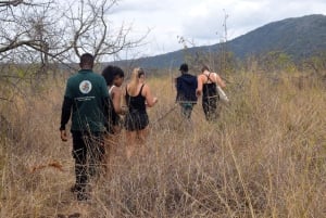 Moshi: Lake Chala Tour: Hiking &/or Kayaking