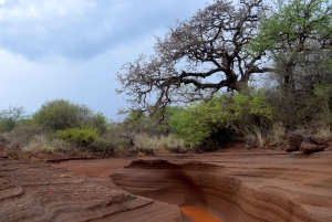 Moshi: Tur til Chala-søen: Vandring og/eller kajak