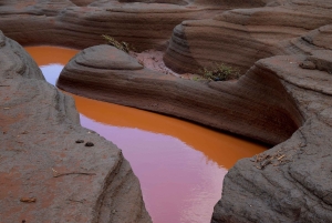Moshi: Tur til Chala-søen: Vandring og/eller kajak