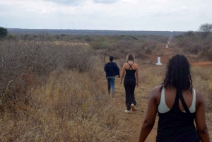 Moshi: Tur til Chala-søen: Vandring og/eller kajak