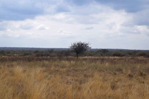Moshi: Tur til Chala-søen: Vandring og/eller kajak