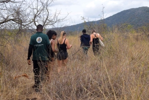 Moshi: Tur til Chala-søen: Vandring og/eller kajak