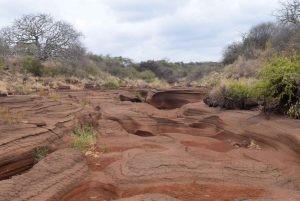 Moshi: Tur til Chala-søen: Vandring og/eller kajak