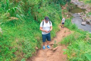 Moshi: Cachoeiras Marangu, Cavernas Chagga e passeio pela vila