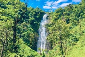 Moshi: tour por el mercado y la ciudad con un guía local