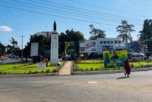 Moshi: tour por el mercado y la ciudad con un guía local