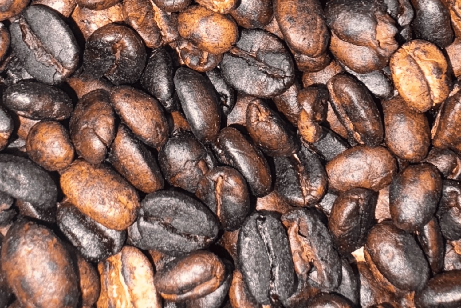 Moshi: Materuni Falls & kahvikierros lounaalla