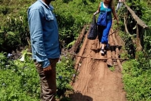 Moshi: Materuni Falls & kahvikierros lounaalla