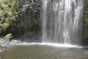 Moshi: Materuni Falls & kahvikierros lounaalla