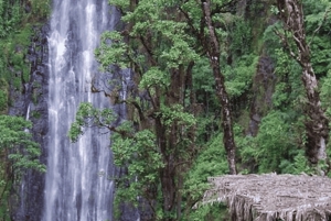 Moshi: Materuni Falls & kahvikierros lounaalla