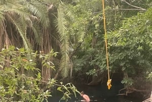 Arusha/Moshi: Materuni Waterfall, Coffee Tour & Hot Springs