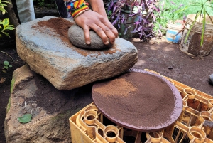 モシ：マテルニ滝、コーヒーツアー、キクレツワ温泉