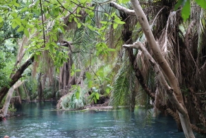 モシ：マテルニ滝、コーヒーツアー、キクレツワ温泉