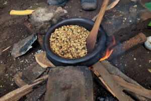 モシ：マテルニ滝、コーヒーツアー、キクレツワ温泉