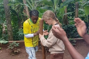 Moshi, Kilimangiaro: cascata di Materuni, tour del caffè e pranzo