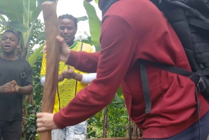 Moshi, Kilimangiaro: cascata di Materuni, tour del caffè e pranzo