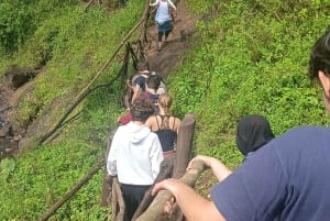 Moshi, Kilimangiaro: cascata di Materuni, tour del caffè e pranzo