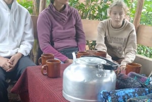 Moshi, Kilimangiaro: cascata di Materuni, tour del caffè e pranzo