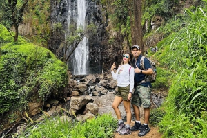 Moshi: Cascadas de Materuni y tour de café con almuerzo