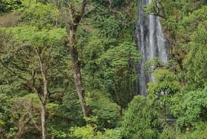 Moshi Materuni Waterfalls, Chemka Hot Springs, & Coffee Tour