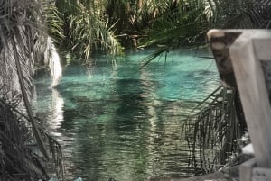 Moshi Materuni Waterfalls, Chemka Hot Springs, & Coffee Tour