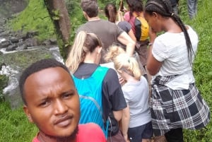 Moshi : excursion d'une journée aux chutes d'eau de Materuni