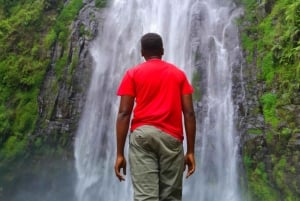Moshi: Passeio de um dia pelas cachoeiras de Materuni